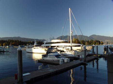 jetty,pier,pier,sailboat,waterfront,Vancouver,river,water