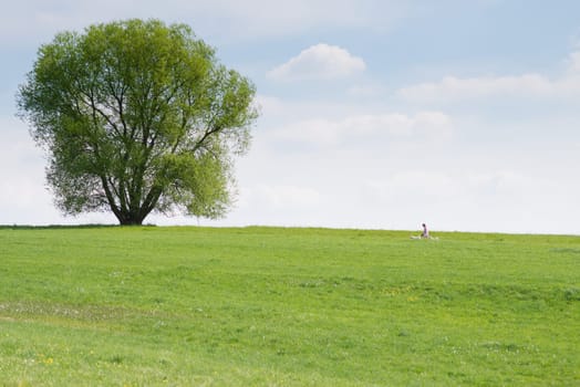 Spring walk with dogs