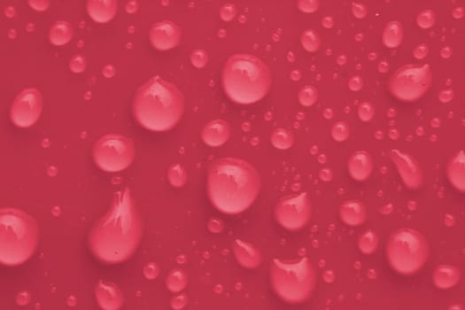 Macro image of pink water drops
