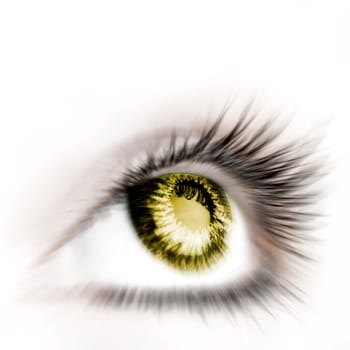 Great big eye. Macro.
