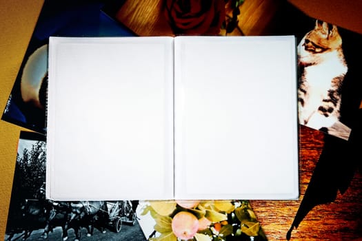 Photo Album with copy space. Great details!