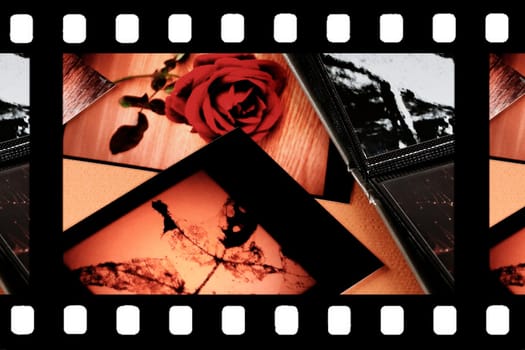 Photo Album with copy space. Great details!