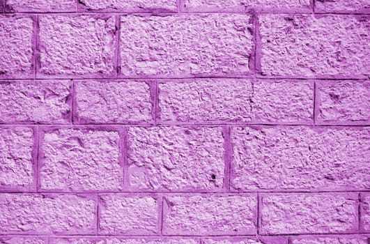 Old wall background. Great shoot