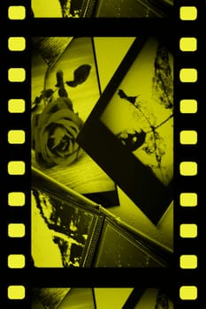 Photo Album with some photos.