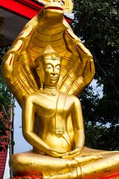 Buddha.  Thailand.