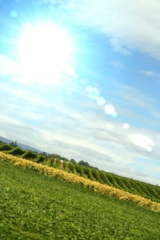 Beautiful country landscape view. Great nature scene.