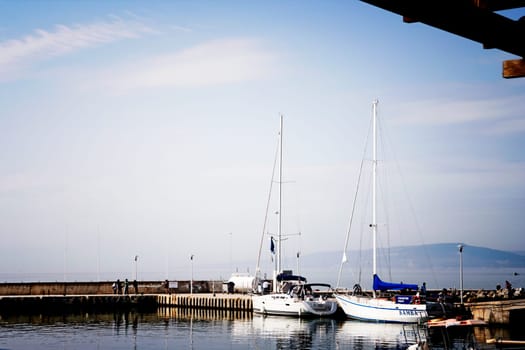 White sailing boats in port.