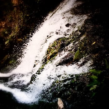 Little waterfall in the woods.