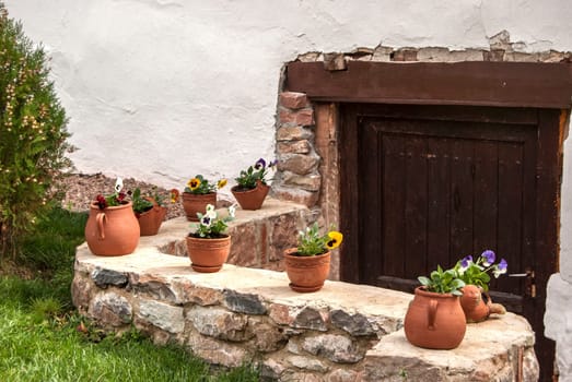 Flowerpots to the back door of rural house closeup