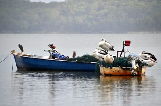 2 boats,various passengers