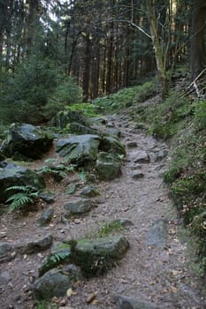 In the Silberbachtal (Lipperland)