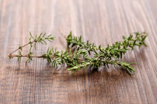 Green branches of thyme (Thymus vulgaris) on wood