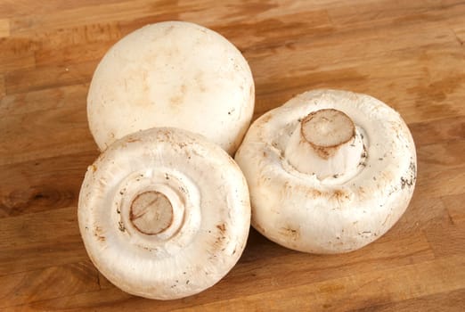 Three fresh field mushrooms on wooden surface