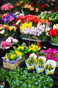 Street stall with variety of flowers