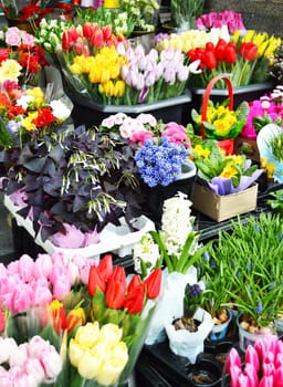 Street stall with variety of flowers