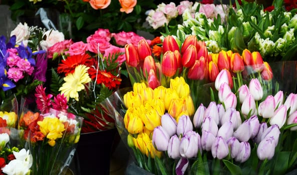 Street stall with variety of flowers