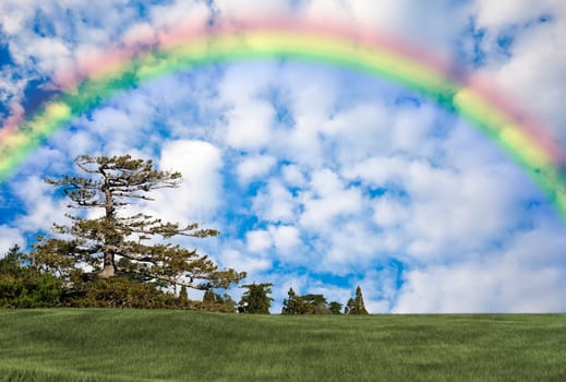 Background image of lush grass field