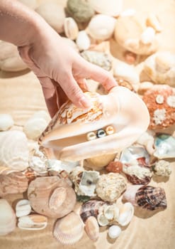 Closeup photo of woman holding seashell with three pearls