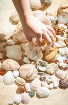 Closeup shot of hand picking black pearl from sea bottom
