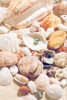 Underwater photo of black pearl in big shell