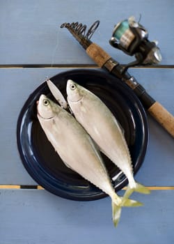 Fresh fish on the table close up