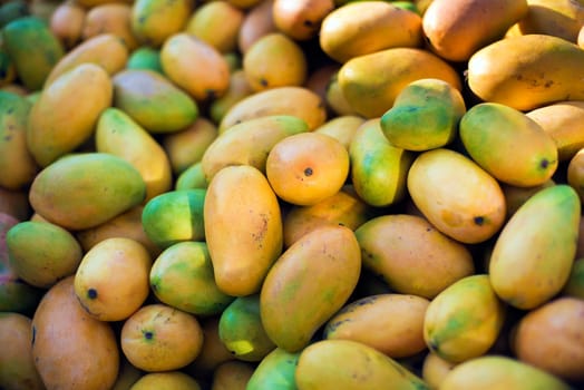 Fresh mangoes in pickup truck on the street