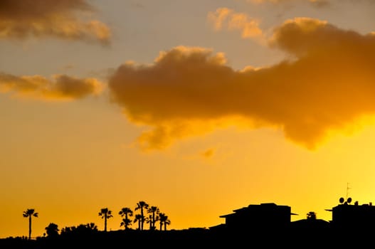 Sunset Scene at Tropical Beach Resort Silhouette