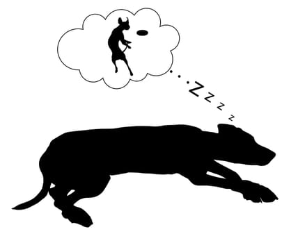 Dog dreams
