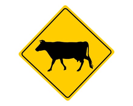 Attention cow