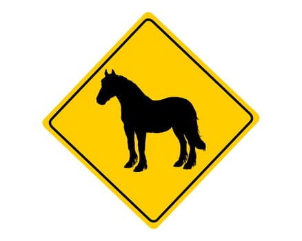 Attention horse