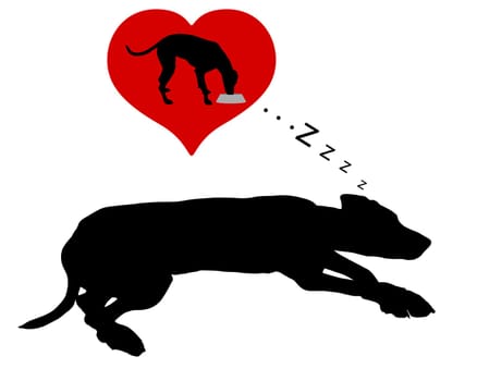 Dog dreams of eating