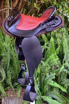 Australian distance riding stock saddle