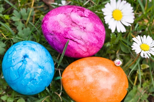 Easter impressions