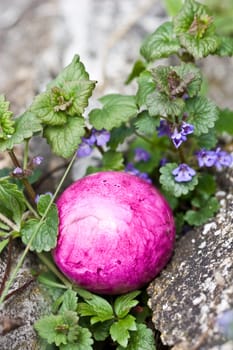 Easter impressions