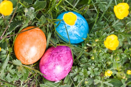 Easter impressions