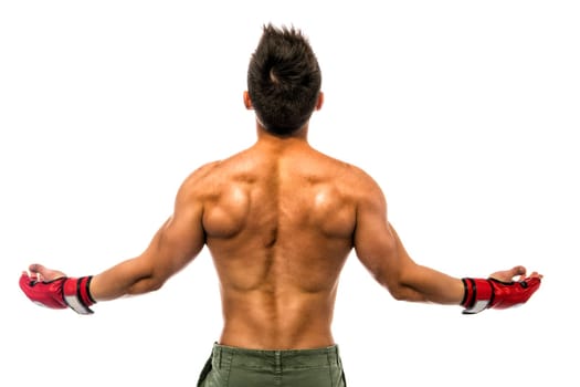 Back of young muscle man with arms spread open, wearing mixed martial arts gloves. Isolated on white background