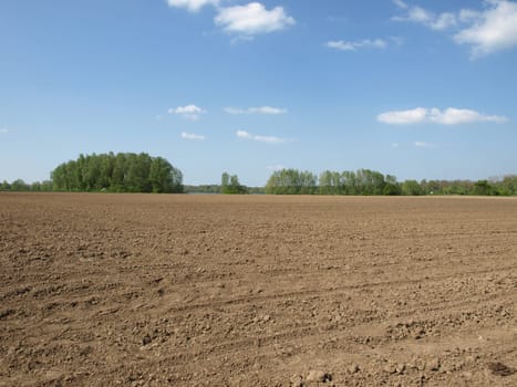 Plowed field