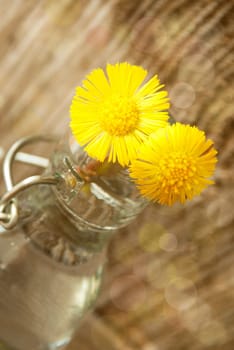 Two Yellow Blossoms in a Vase in the Sunshine