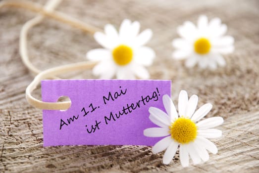 a purple label with white blossoms, copy space and background