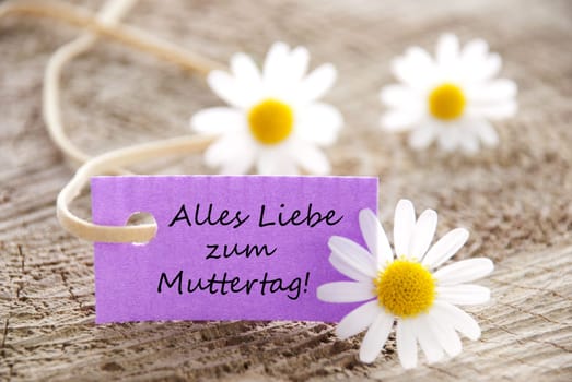a purple label with white blossoms, copy space and background
