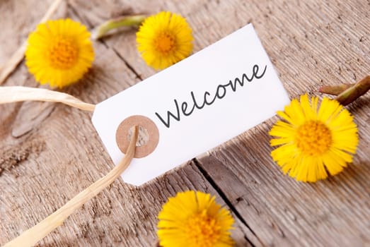 White Banner with the Word Welcome with many yellow Flowers