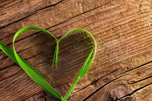 Blade of grass as heart