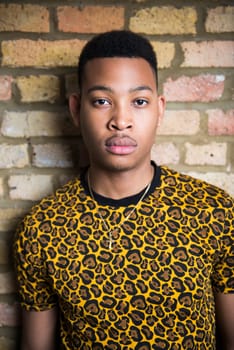 Portrait of handsome dark skinned male model wearing panther pattern t-shirt against brick wall