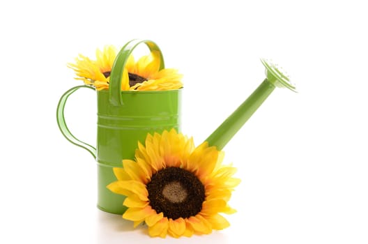 Green watering can with sunflowers