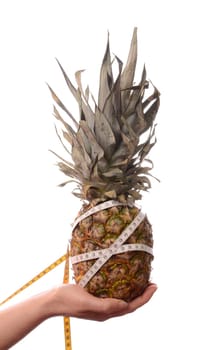 Female hand holding a pine apple
