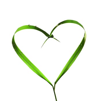 Heart with blades of grass
