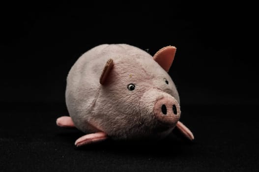 Cute pink pig animal character on a Black Background