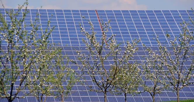 energy saving with photovotaik