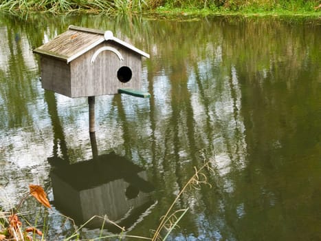 A birdhouse standing in the pond on stilts with water reflection in spring