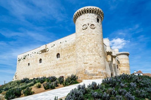The castle in Sources of Valdepero, in Palencia Spain